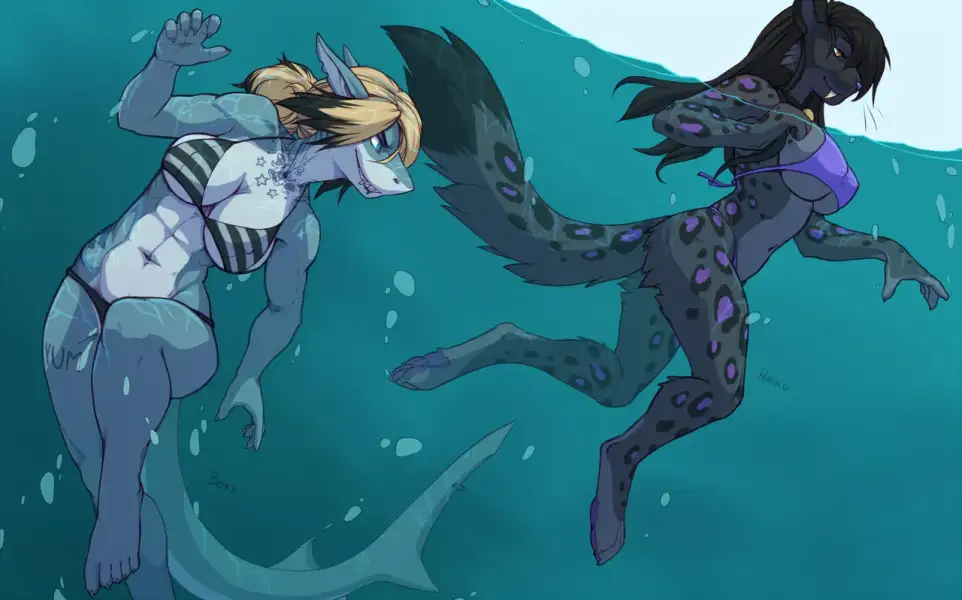 Shark_Pool