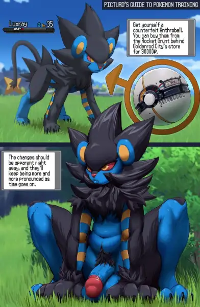 Training_Your_Luxray_-_Picturd