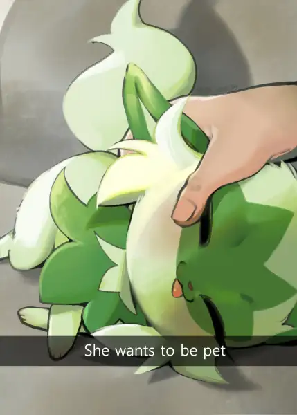 Sprigatito_and_Her_Trainer:_Petting
