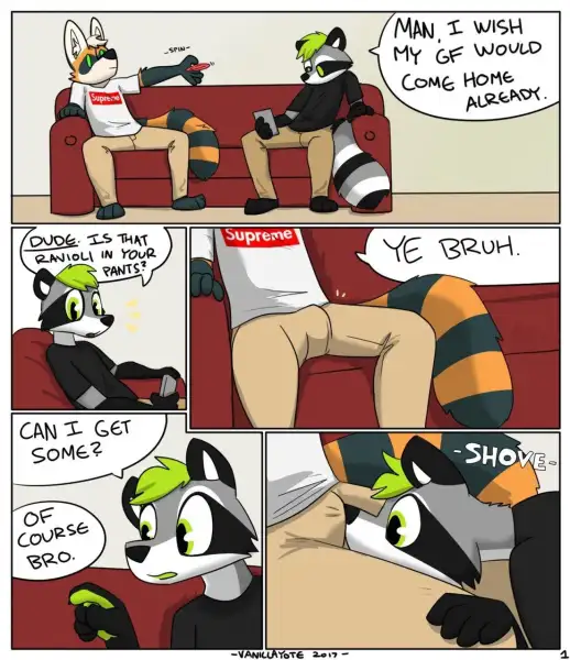 Not_gay_comic