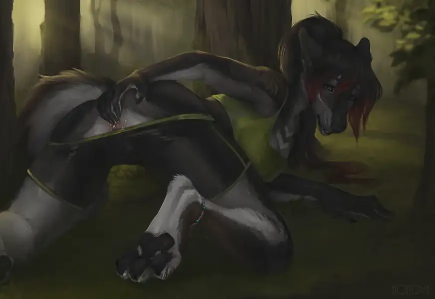 Apex_of_the_Forest