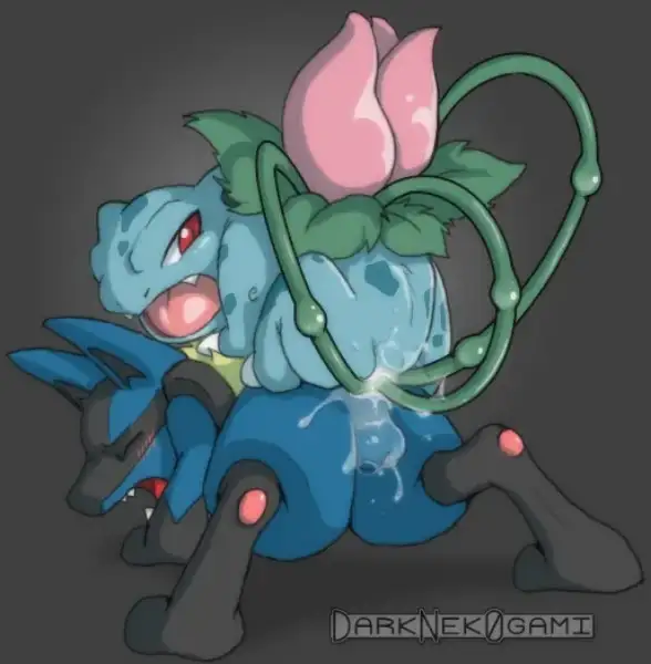 Lucario_Auragasm_Series