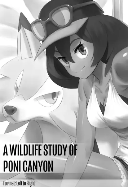 A_Wildlife_Study_Of_Poni_Canyon_-_Jiffic