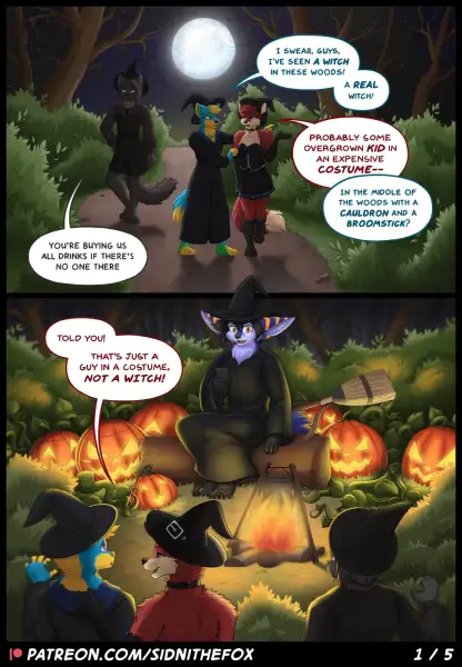 Bitches_not_witches_(by_SiDniTheFox)