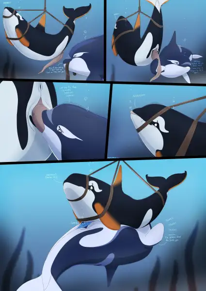 Tied_and_Tested
