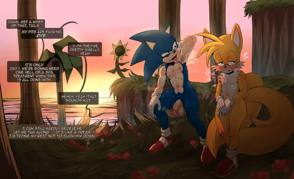 Kokobiel's_Sonic_and_Tails