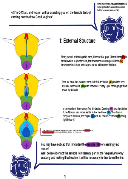 Crossman's_NSFW_drawing_tutorial_Chap.1-Vaginas