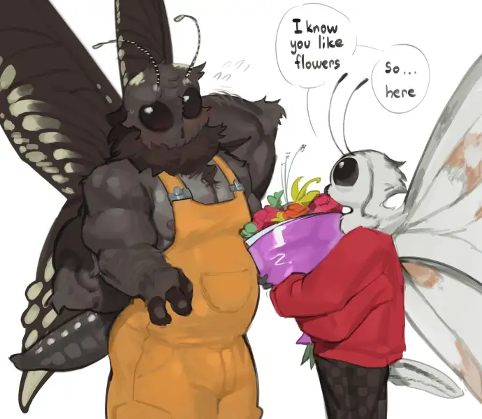 Butterflies_-_Kogito