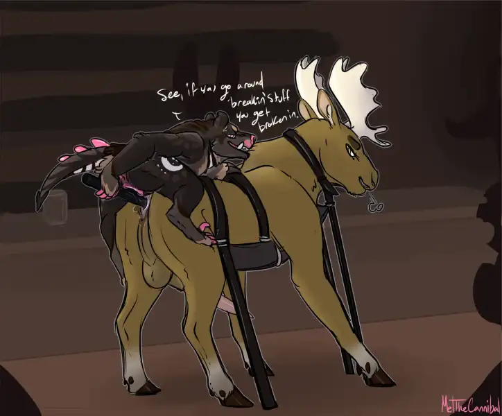 A_moose_walks_into_a_bar...