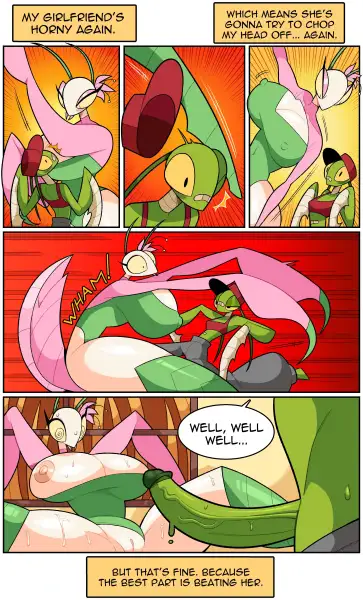Mantis_Mating_-_Idolomantises