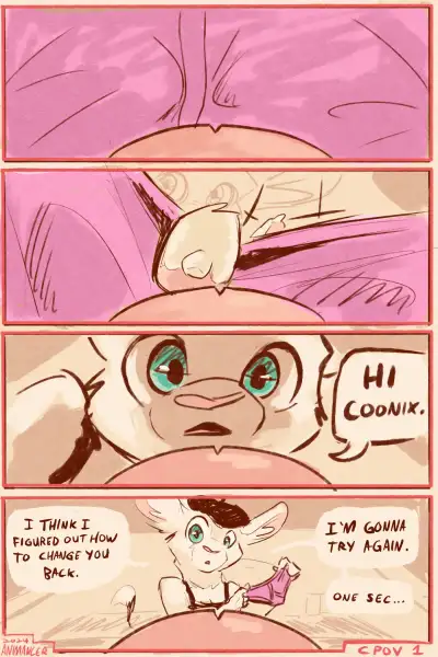 C-POV