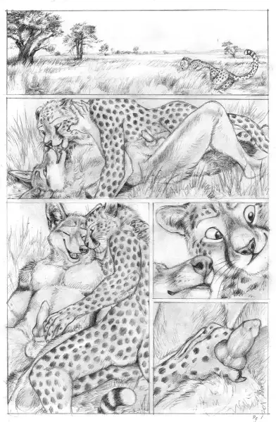 Blotch_-_Cheetah_&_Jackal