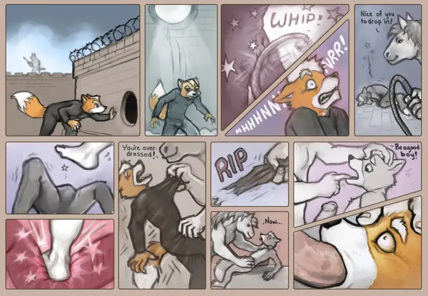 Outfoxed