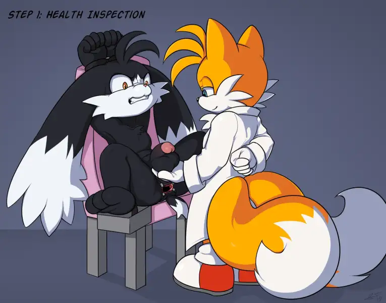 How_to_make_the_perfect_toy