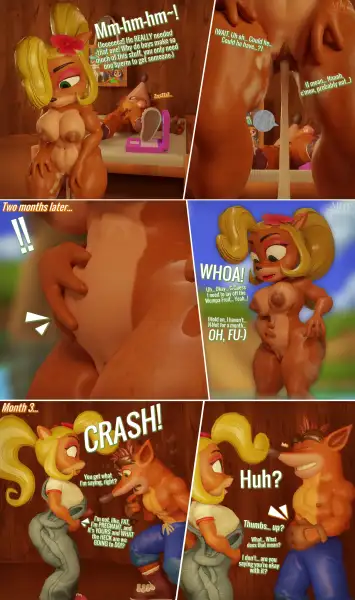 Coco_and_Crash's_Conceptual_Consequences