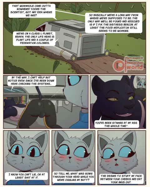The_Crash_by_Ike_Marshall